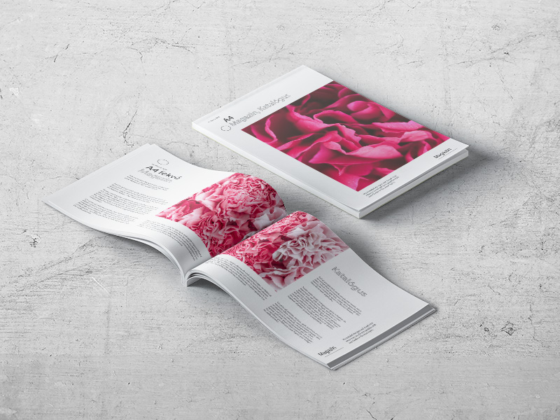 Katalog